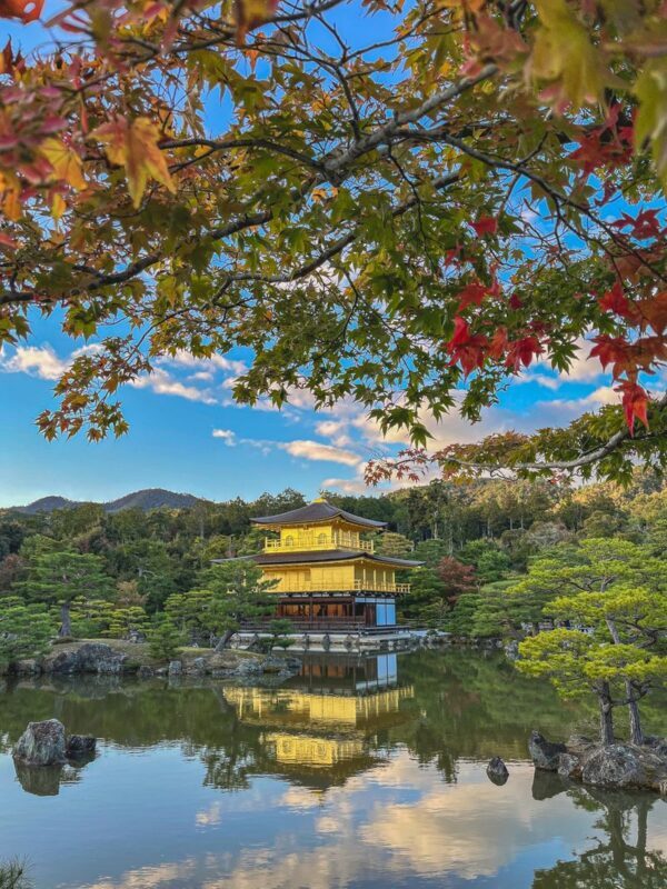 Walking Tour of Western Kyoto: Arashiyama, Kinkakuji and Koboshi - A full day from Kyoto Station to western Kyoto