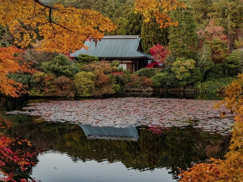 Walking Tour of Western Kyoto: Arashiyama, Kinkakuji and Koboshi - Kinkaku-ji, Kyoto’s Golden Pavilion