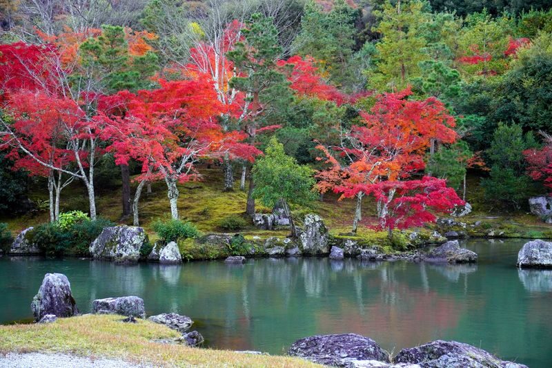 Walking Tour of Western Kyoto: Arashiyama, Kinkakuji and Koboshi - Is the $140.65 price fair?
