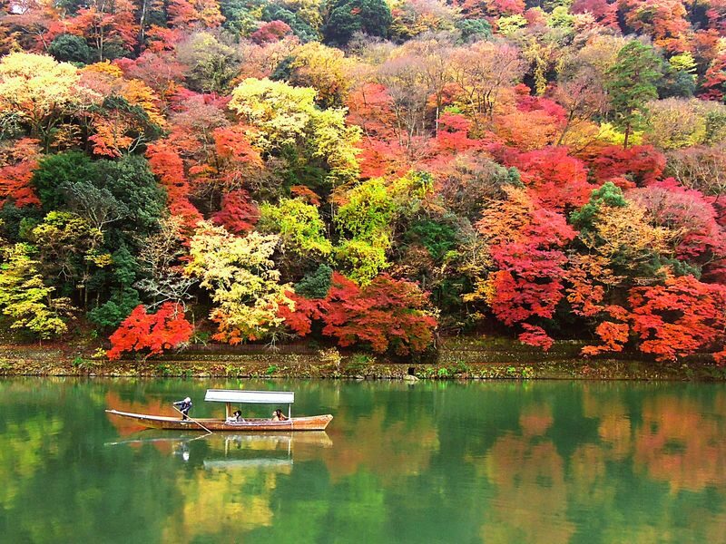 Walking Tour of Western Kyoto: Arashiyama, Kinkakuji and Koboshi - Who should book this western Kyoto tour?