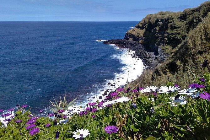 Walking Tour Ribeira Funda - Praia Da Viola - Pricing and Reservations