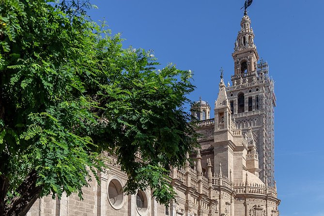 Walking Tour Through the Monumental and Historical Area of Seville - The Sum Up