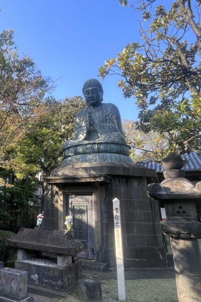 Walking Tour: Yanaka,Nezu& Sendagi: Tea Ceremony & Old Tokyo - Tips for Enjoying the Tour