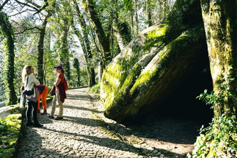 Walking tour:Pena Palace, Moorish Castle,Quinta da Regaleira - Who Should Book This Tour?