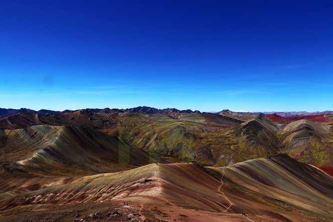 Walking With Alpacas in Palcoyo: the Alternative Rainbow Mountain - Experience a Short and Easy Hike With Alpacas