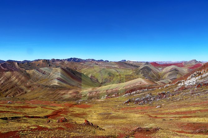 Walking With Alpacas in Palcoyo: the Alternative Rainbow Mountain - Check Out Reviews and Pricing Details