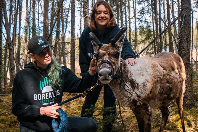 Walking with Reindeer Experience - Good To Know