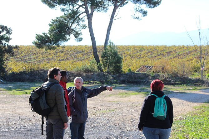 Walks in the Heart of the Secret Vineyards Around Collioure, Tastings - Vineyard Walks and Tastings in Collioure