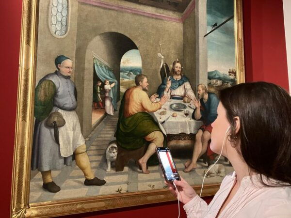 Wall and Museums of Cittadella - Cultural Immersion in Cittadella