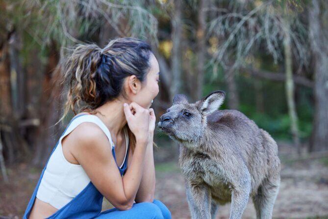 Wallabies & Wine - Hunter Valley Adventure - Practical Details and Tips