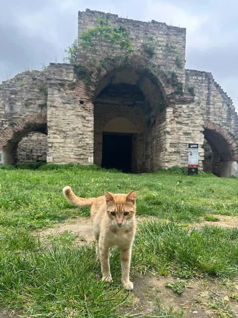 Walls of Contantinople and Blachernea Palace Tour - Final Thoughts