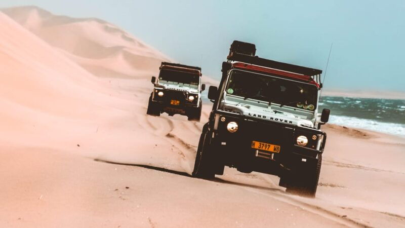 Walvis Bay: Dolphin Cruise, Pink Lakes and 4x4 Dune Drive - Good To Know