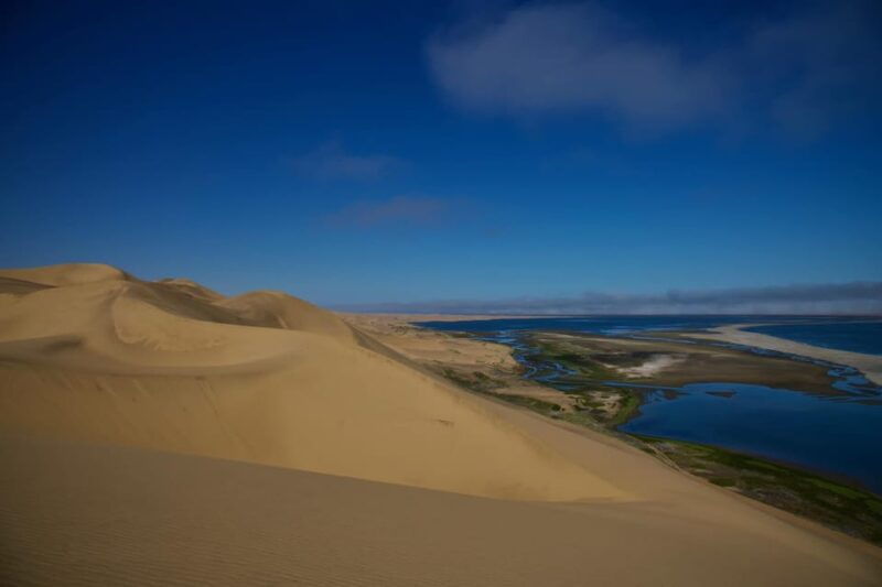 Walvis Bay: Sandwich Harbour Half-Day 4x4 Scenic Excursion - The Full Experience: What You Can Expect