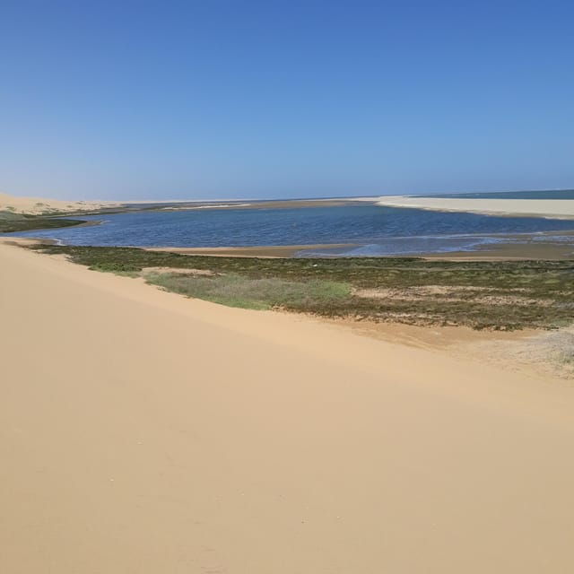 Walvis Bay: Scenic Sandwich Harbour Tour - What Sets This Tour Apart