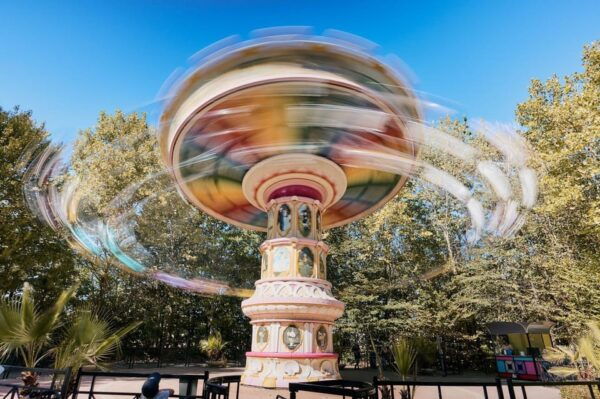 Walygator Sud-Ouest: Entry Ticket - Questions You May Have