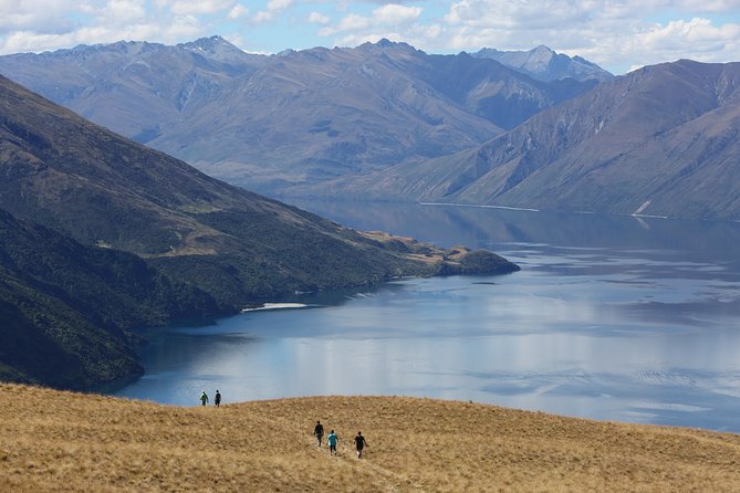 Wanaka High Country Walk - Overview and Features