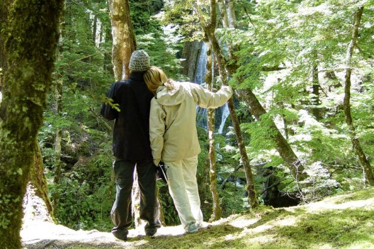 Wanaka: Jet Boat & Wilderness Walk - Activity Details