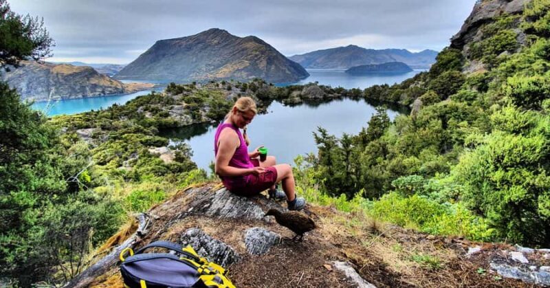 Wanaka: Mou Waho Island Boat Tour and Nature Walk - Practicalities and Value