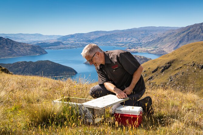 Wanaka Nature Encounter: Lake Cruise and 4WD Safari - Activity Details and Duration