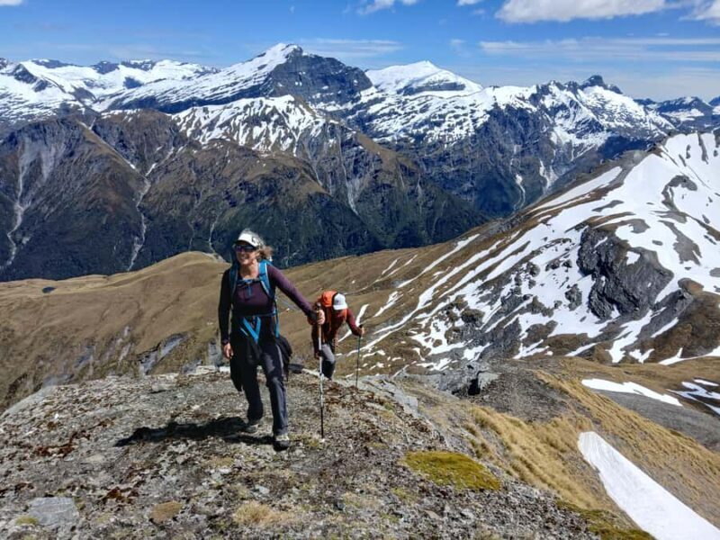 Wanaka: Private Alpine Heli-Hike - Good To Know