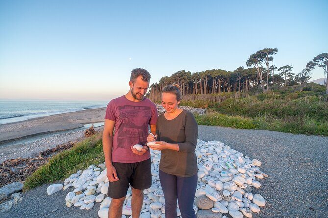 Wanaka to Franz Josef Small-Group Tour (One Way) Includes Lunch - Final Thoughts