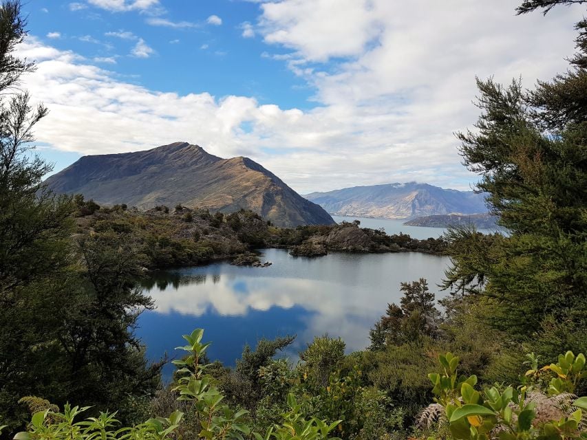 Wanaka: Water Taxi & Mou Waho Island Tour - Full Description
