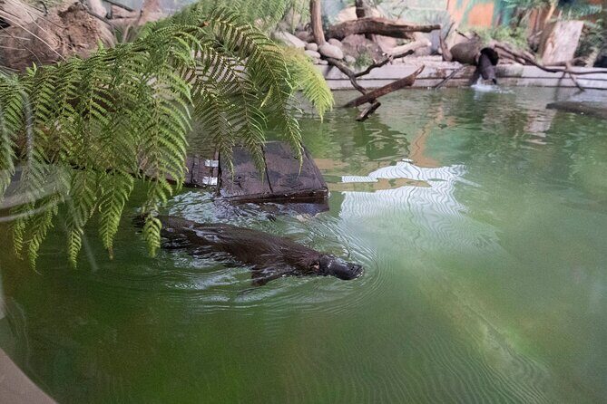 Wander the Tamar Valley - Good To Know