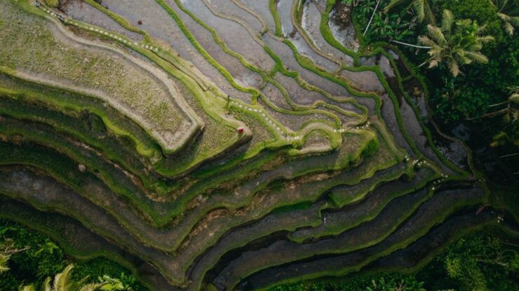Wanderlust Birthday Photo and Video With Drone - Good To Know