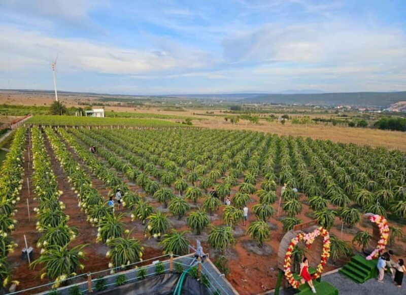 Wanderlust Mui Ne Tour: Sunset or Sunrise Shared Jeep Tour - FAQ