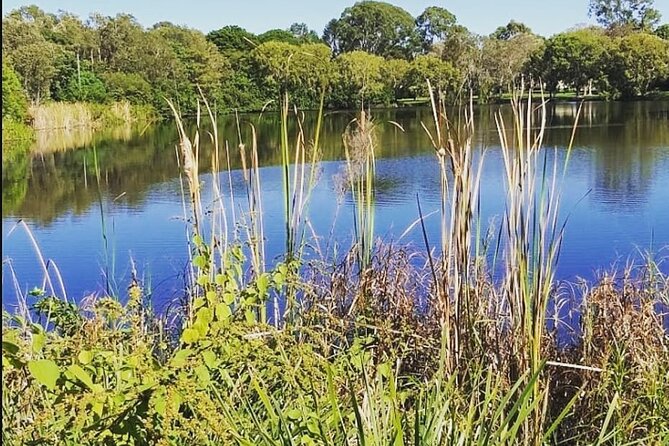 Wangari Dreaming Bush Tucker Tour - Tour Overview and Itinerary