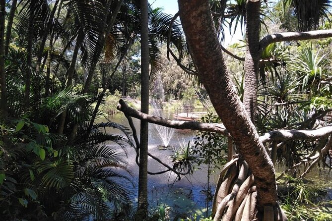 Wangari Dreaming Bush Tucker Tour - Cancellation Policy and Weather Considerations