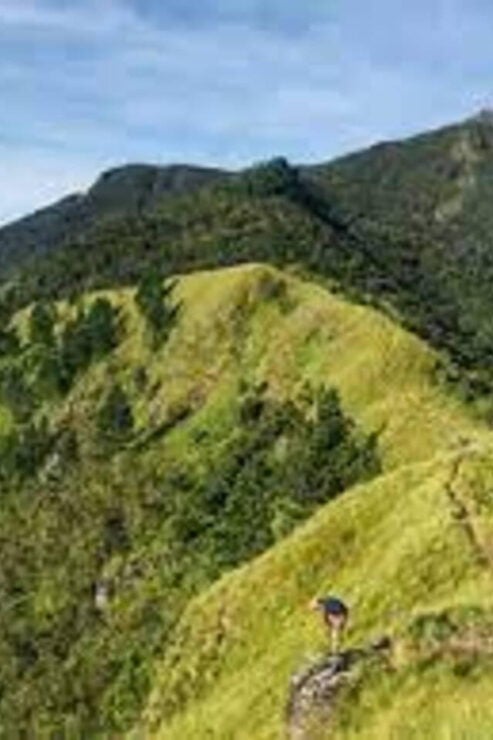 Wangedigala Mountain Hiking - Pricing and Reservation Details