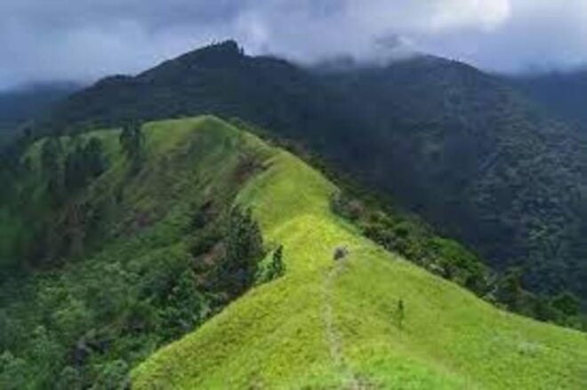 Wangedigala Mountain Hiking - Terrain and Natural Features