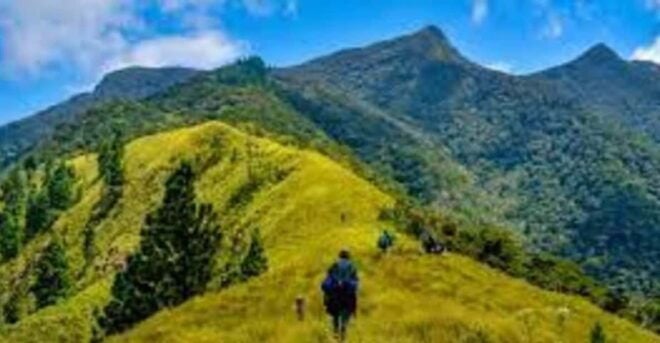 Wangedigala Mountain Hiking - Important Rules and Guidelines