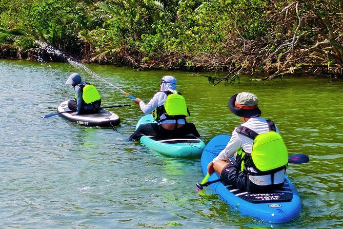 Wanning Stand Up Paddle boarding Adventure at Sun Moon Bay - Good To Know