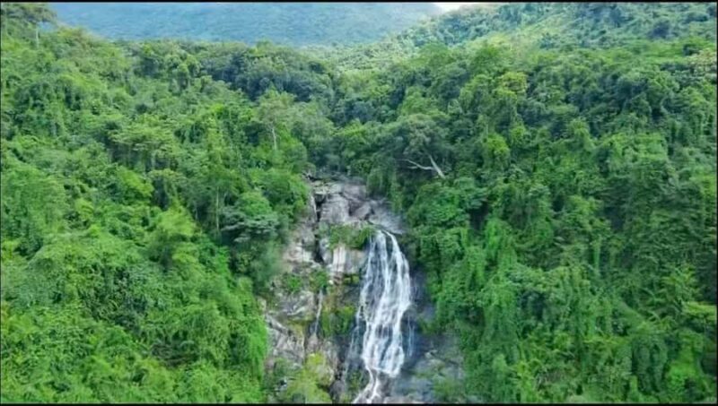 Wanning: Walking Tour in Xinglong Triangle Rainforest - Good To Know