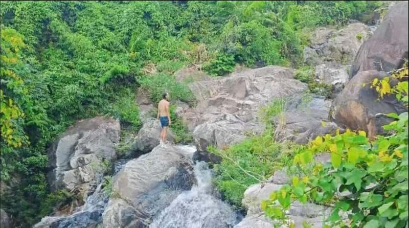 Wanning: Walking Tour in Xinglong Triangle Rainforest - What Makes This Tour Stand Out