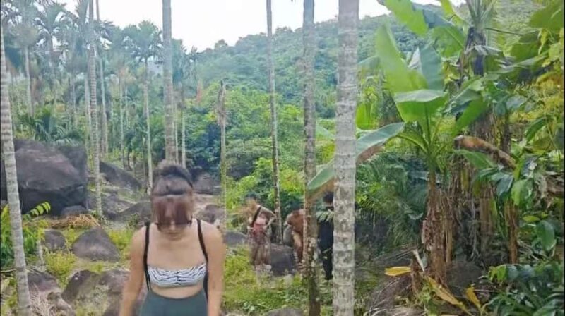 Wanning: Walking Tour in Xinglong Triangle Rainforest - Who Should Consider This Tour?