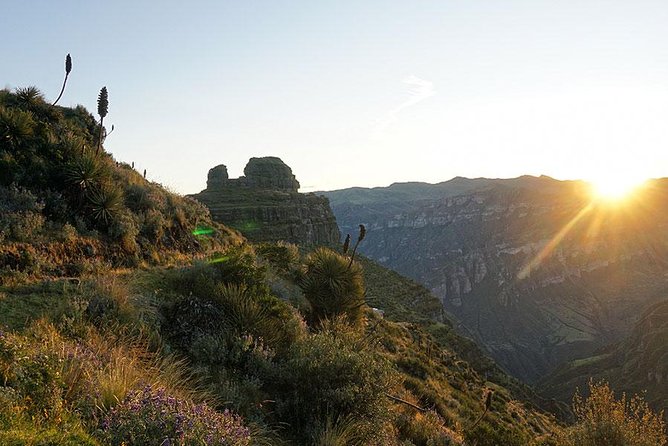 Waqrapukara Inca Ruins Full-Day Shared Tour From Cusco - Reviews