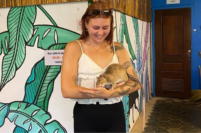 War Museum, Killing Field, and APOPO Hero RATs Tour - Introduction