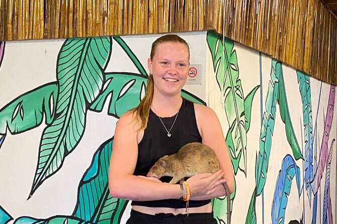 War Museum, Killing Field, and APOPO Hero RATs Tour - The Sum Up