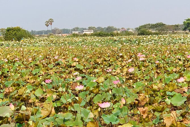 War Museum, Killing Field and Floating Village ( Chong Kneas) Tour - Additional Information