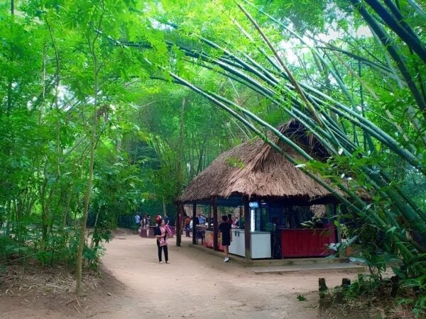 War Remnants Museum & Cu Chi Tunnels Tour - Visitor Experiences and Tips