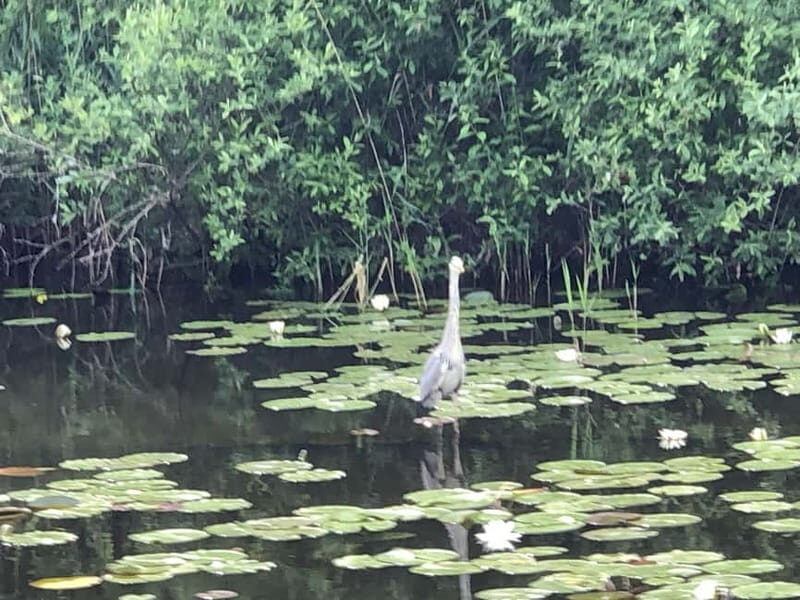 Waren (Müritz): Fun Cruise motor yacht with skipper - 4 hours - Good To Know