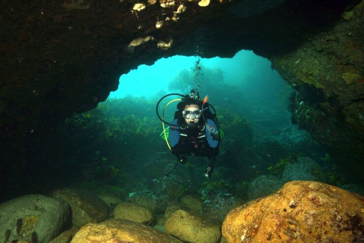 Warkworth: Full-Day Scuba Dive Charter at Hen and Chickens - Activity Details