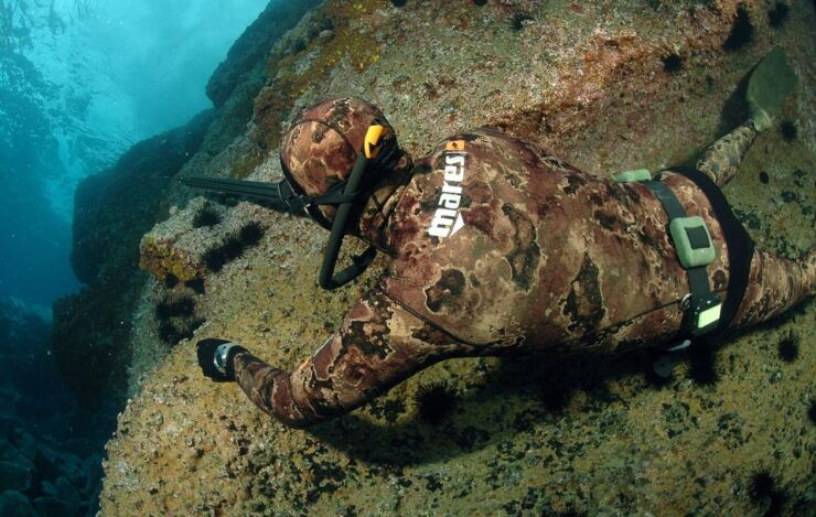 Warkworth: Full-Day Spearfishing Charter - Booking Details