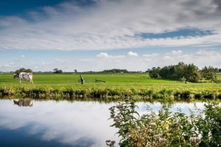 Warmond: Kagerplassen Windmill Cruise - Experience Highlights
