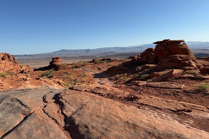 Warner Valley Dinosaur Track Site 4x4 Tour - The Value and Who It’s Best For