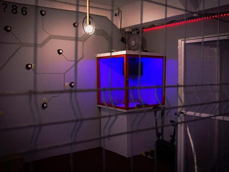 Warsaw: 60-minute Escape Room Game - The Setting and Accessibility
