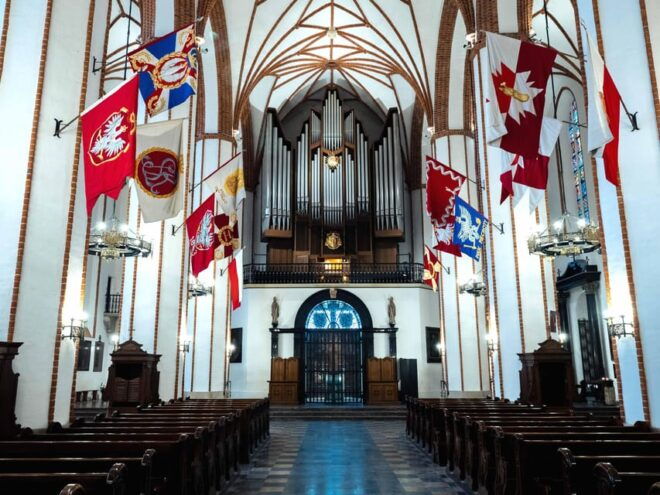 Warsaw: Cathedral Organ Concerts and Tour of the Crypts - Accessibility and Feedback